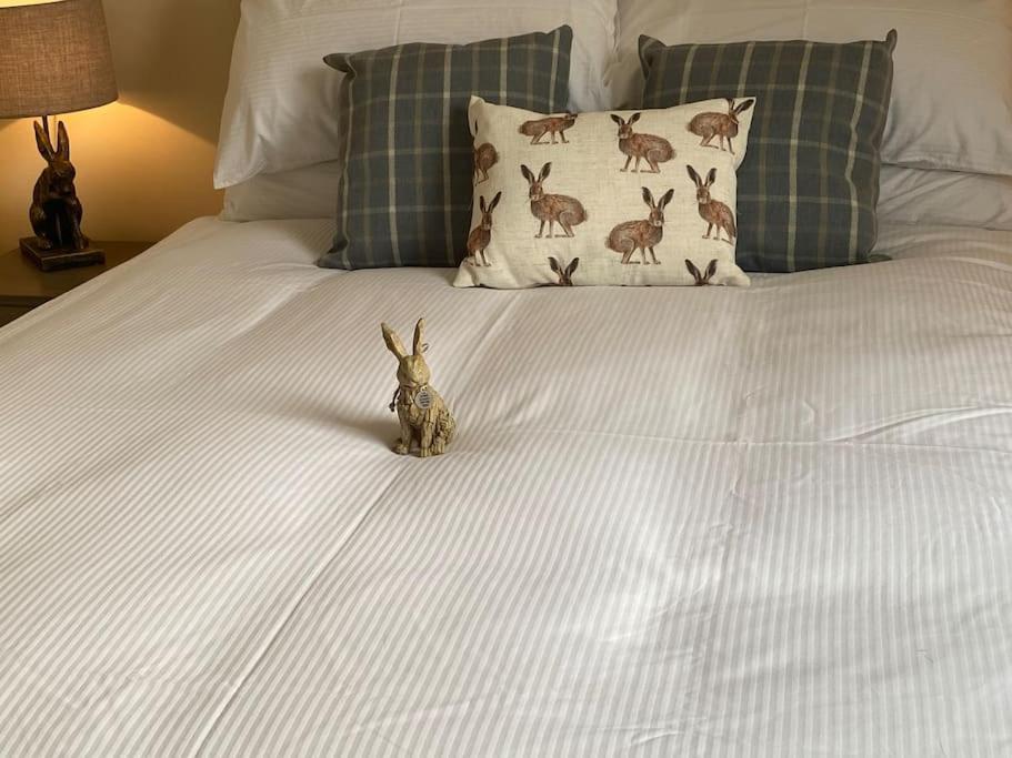 The Burrow, Langholm, Dumfries And Galloway מראה חיצוני תמונה
